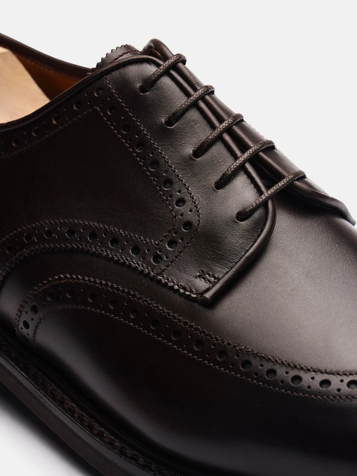 The Derby - Brown Calf